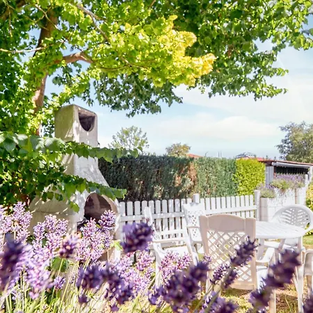 Der Südschwede ... Dein Mitten In Und Nah Zum * Ostseeheilbad Zingst