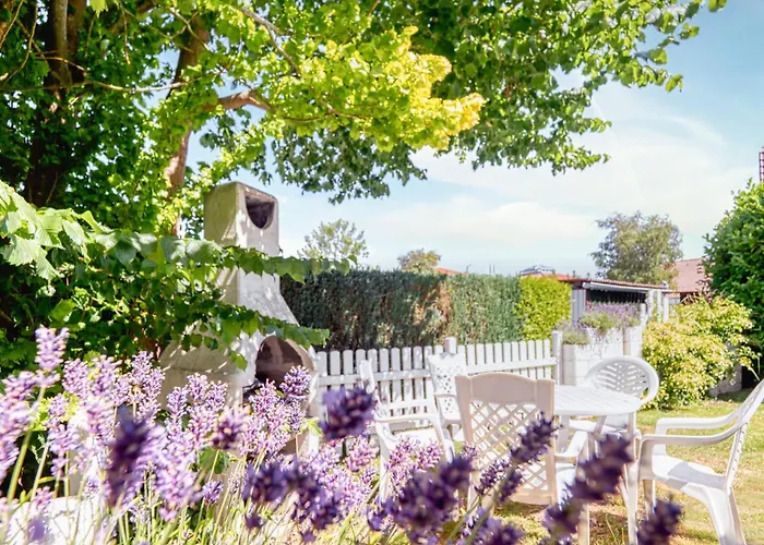 Der Suedschwede ... Dein Gaestehaus Mitten In Und Nah Zum * Zingst